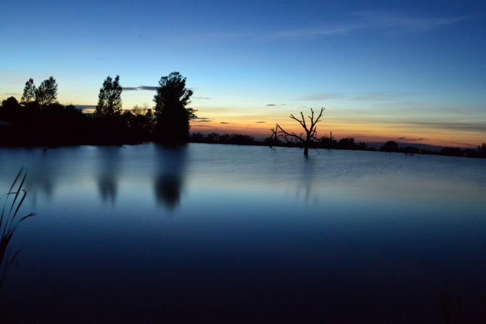 Balta Valea Morii Budila - 543809_117544275082243_451158790_n.jpg